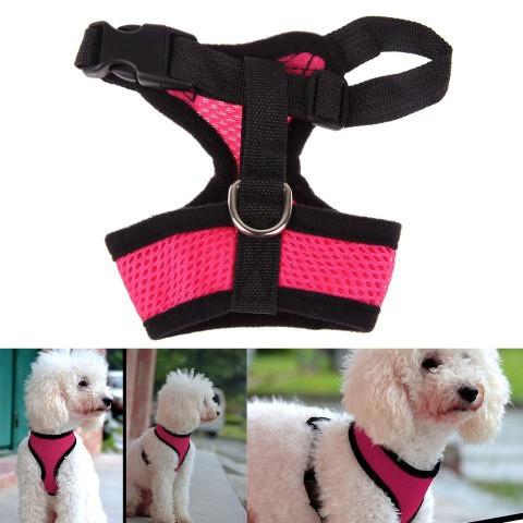 CELEBRATIONS AND SUNSETS DOG HARNESS